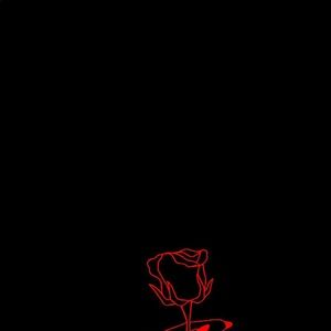 Meet your Posher, Elianis